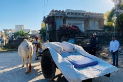 Bullock Cart Ride